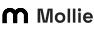 Payment Gateway